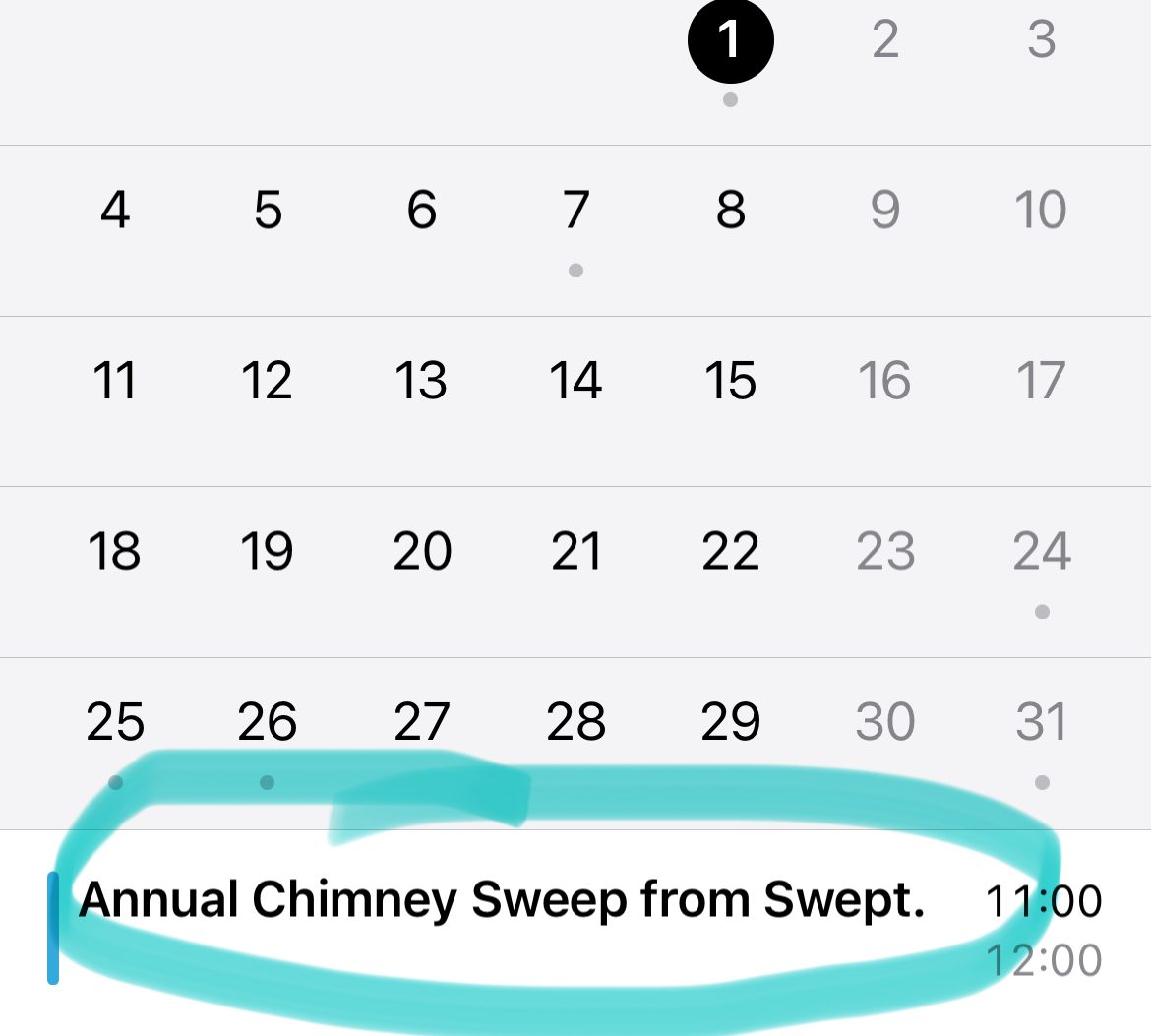 Annual chimney sweep appointment
