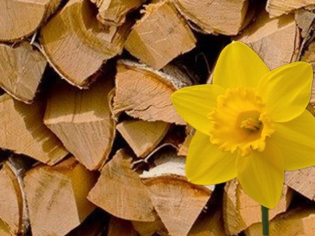 Spring maintenance for solid fuel stoves